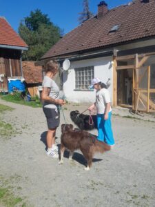 WhatsApp Image 2026-06-25 at 07.25.33 (6)